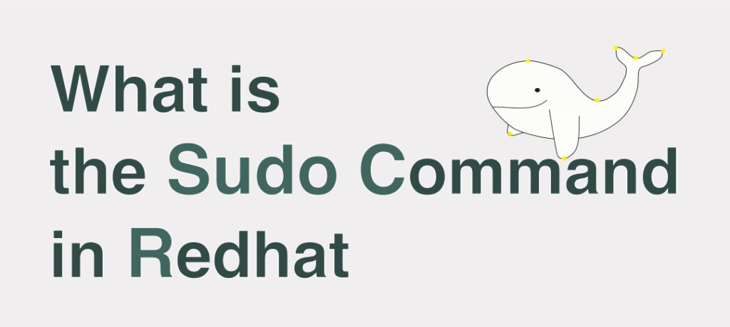 sudo command