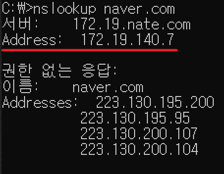 DNS 서버 IP 확인